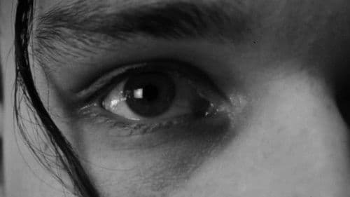 A Mais Longa das Noites Bild 5