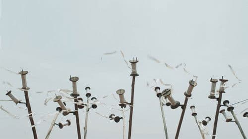 I Am Not a Witch Bild 3