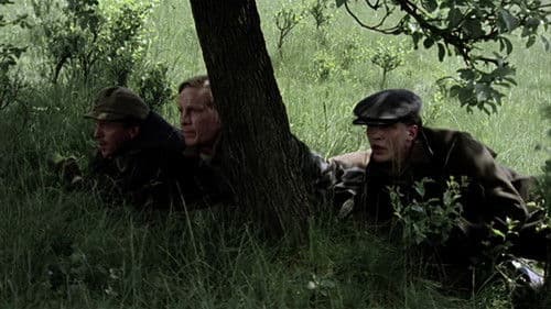 Colditz – Flucht in die Freiheit Bild 6