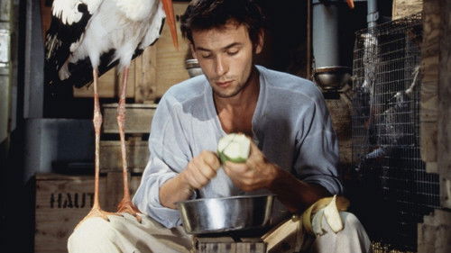 Comme une bête Bild 1