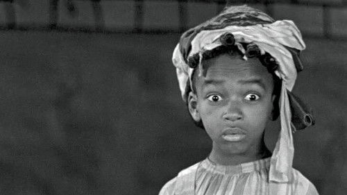 Shivering Shakespeare Bild 1