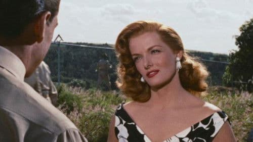 Bungalow der Frauen Bild 4