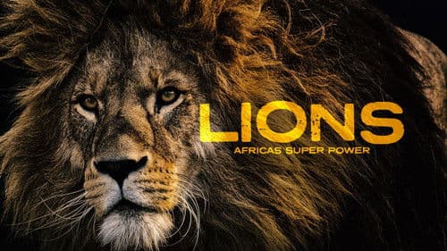 Lions: Africa's Super Power Bild 4