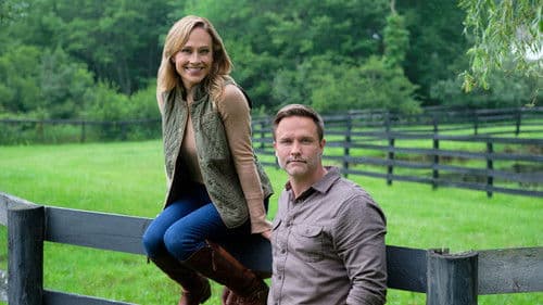 Taking the Reins Bild 5