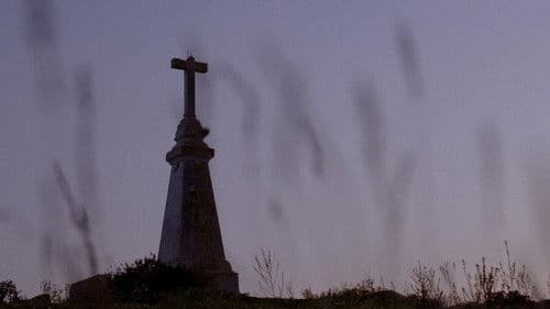 Primavera esvaïda Bild 3