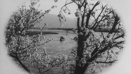 野菊の如き君なりき Bild 2