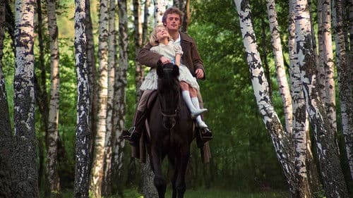 Das Birkenwäldchen Bild 2