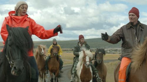 Von Menschen und Pferden Bild 3