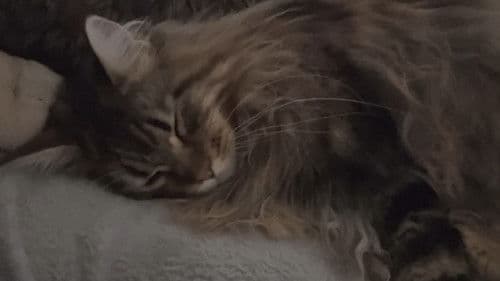 内なる反射 Bild 3