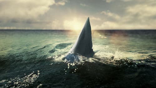 Haie auf Angriff 360° Bild 5