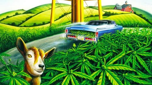 Rolling Kansas Bild 3