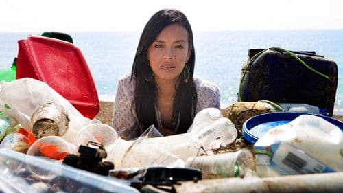 Im Plastik versunken Bild 1