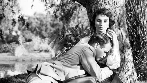 Land ohne Männer Bild 1