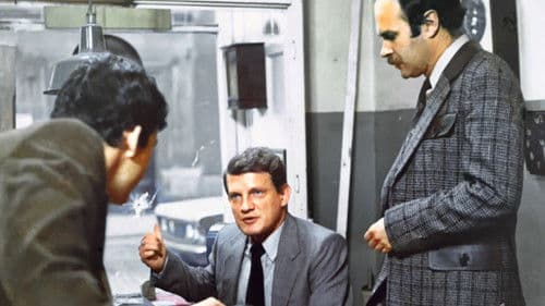 Der Tollwütige Bild 7