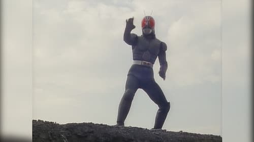 仮面ライダー１号～ＲＸ大集合 Bild 1