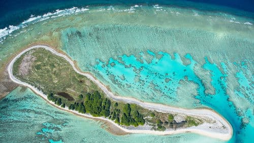 Magical Land of Oz Bild 4