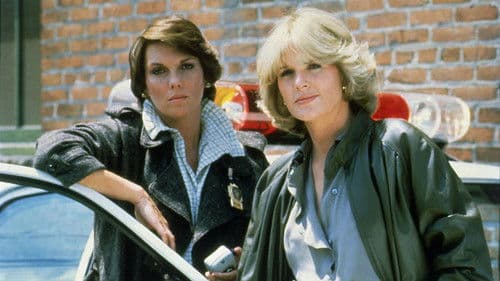 Cagney & Lacey Bild 1