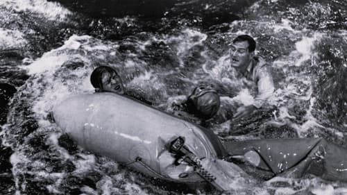 Unternehmen Seeadler Bild 5