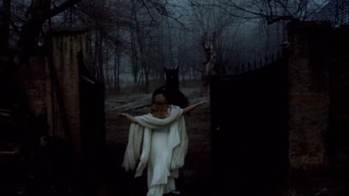 Die Jungfrau und das Ungeheuer Bild 3