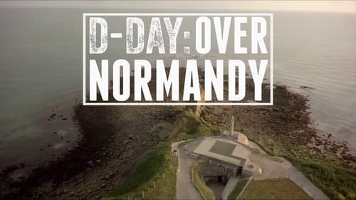 D-Day: Over Normandy Bild 2