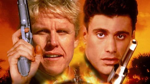 Die Cuba-Connection Bild 1