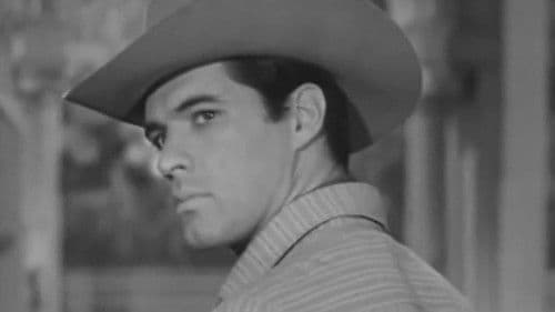 The Solid Gold Girl Bild 1