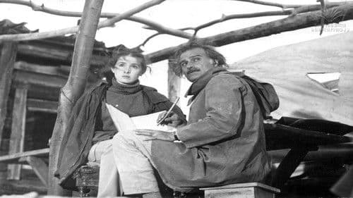 ცხელი ზაფხულის სამი დღე Bild 3