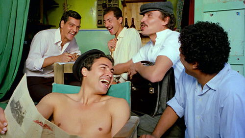 Alexandria… warum? Bild 2