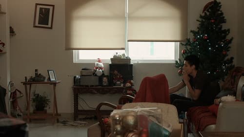 Luces de navidad o de la paloma y el perro Bild 1