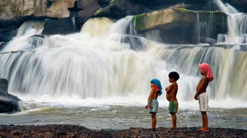 Apaporis, Secretos de la selva Bild 2