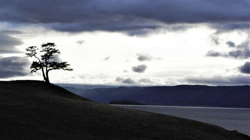 Invisible World Bild 4