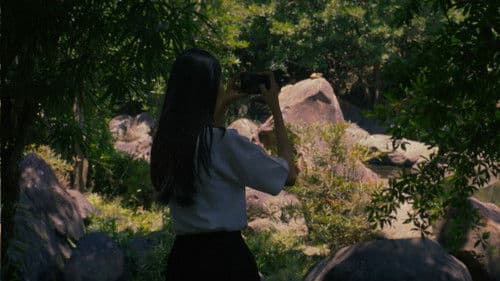 Dissolve to the Pastroad Bild 4