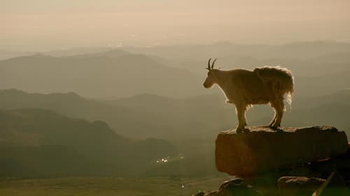 Premiers pas dans les Rocheuses Bild 2