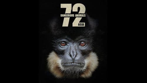 72 gefährliche Tiere: Asien Bild 1