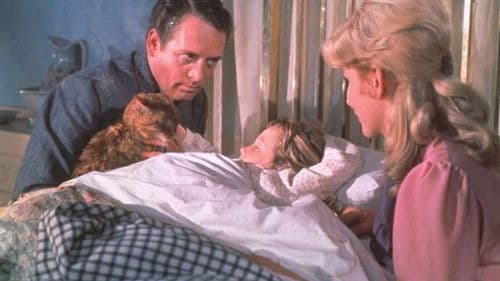 Die drei Leben von Thomasina Bild 5