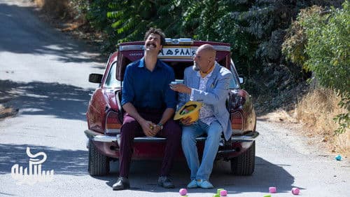 سال گربه Bild 2