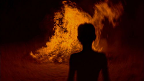 காற்றின் கவிதை Bild 1