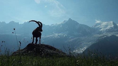 Frankreich – Wild und schön Bild 2