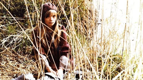 Der Letzte fährt zur Hölle Bild 5