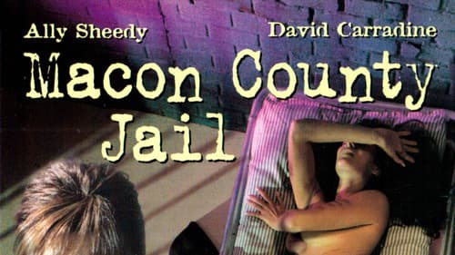 Jailbreak - Auf der Flucht Bild 8