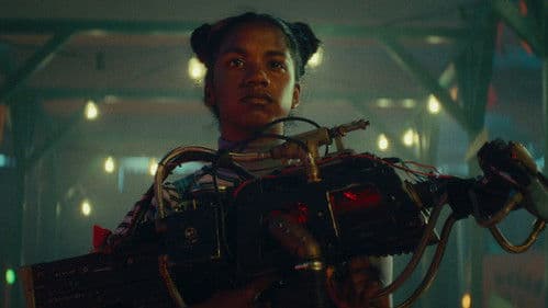 De Gebroeders Schimm Bild 2