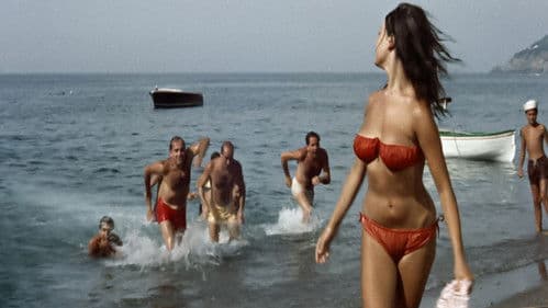 Leoni al sole Bild 2