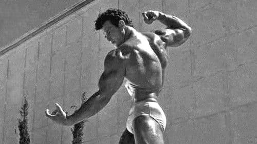 Le Plus Bel Homme du monde Bild 1