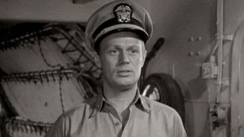 Froschmänner Bild 1