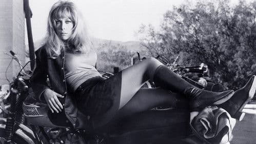 Die wilden Schläger von Rockers-Town Bild 5