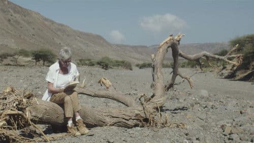 Par-delà les nuages – Le cinéma de Marion Hänsel Bild 3