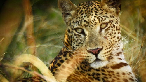 Creative Killers Bild 2