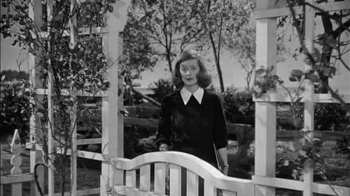 Die große Lüge Bild 5