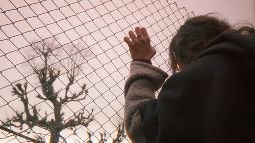 Balinanın Bilgisi Bild 1