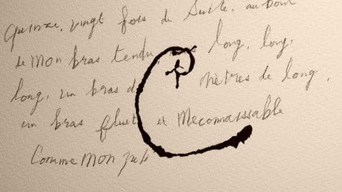 Misérable miracle Bild 3